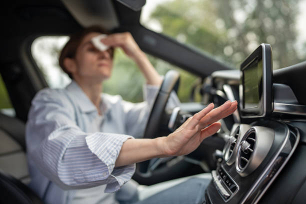 Best Affordable air conditioning repair  in Ripley, WV